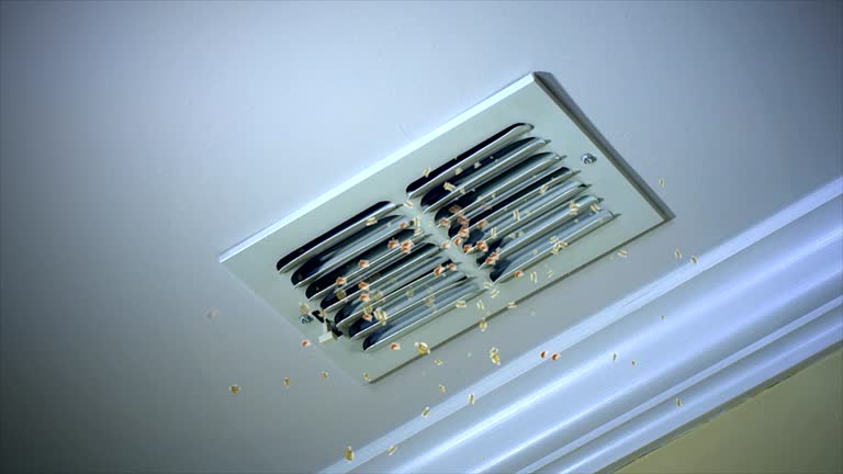 Best Local Air Duct Cleaning Services  in Manana, HI